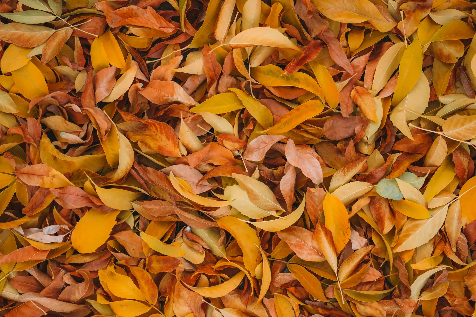 Wesley Tingey / Unsplash
